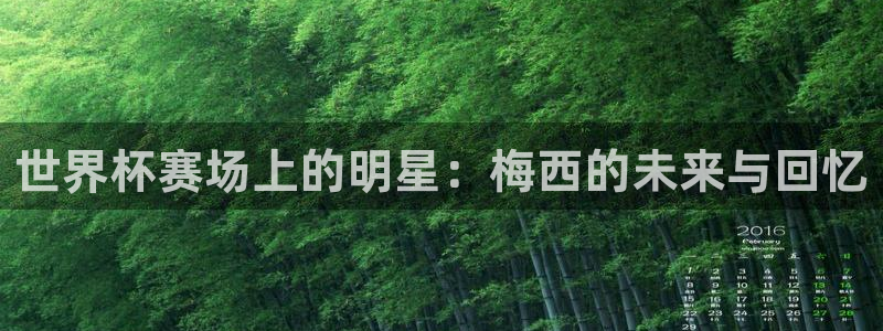 2026世界杯官网：世界杯赛场上的明星：梅西的未来与回忆