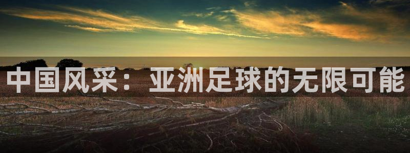 澳门世界杯直播：中国风采：亚洲足球的无限可能