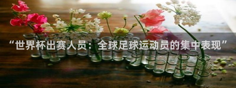 世界杯预选赛赛程表：“世界杯出赛人员：全球足球运动员的集中表现”