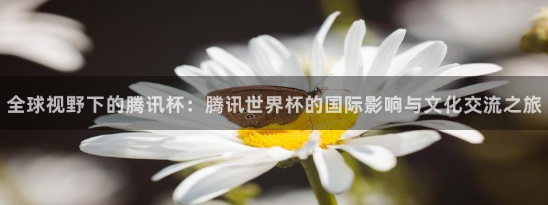 欧洲世界杯预选赛赛程：全球视野下的腾讯杯：腾讯世界杯的国际影响与文化交流之旅