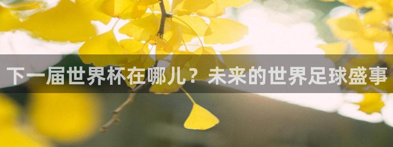 2026世预赛赛程：下一届世界杯在哪儿？未来的世界足球盛事