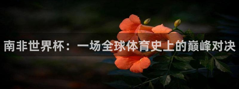 2026世界杯德国队阵容：南非世界杯：一场全球体育史上的巅峰对决