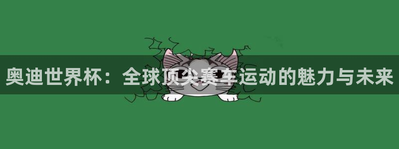 男足世界杯预选赛赛程：奥迪世界杯：全球顶尖赛车运动的魅力与未来