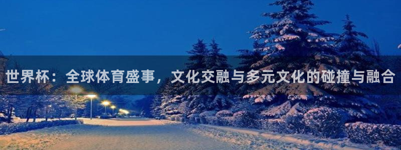 世界杯官网：世界杯：全球体育盛事，文化交融与多元文化的碰撞与融合
