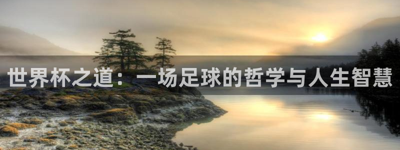 世俱杯直播：世界杯之道：一场足球的哲学与人生智慧