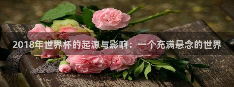 中国 世界杯：2018年世界杯的起源与影响：一个充满悬念的世界