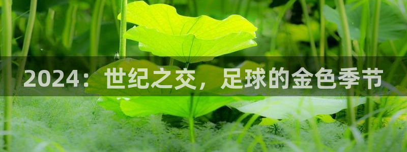 2026世界杯亚洲区预选赛：2024：世纪之交，足球的金色季节