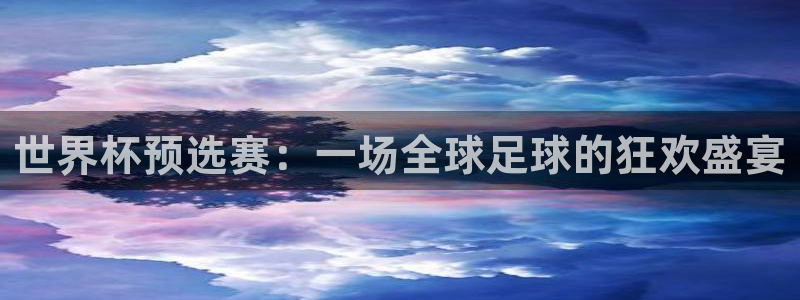2026足球世界杯：世界杯预选赛：一场全球足球的狂欢盛宴