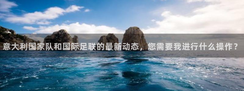 2026世界杯赛制：意大利国家队和国际足联的最新动态，您需要我进行什么操作？