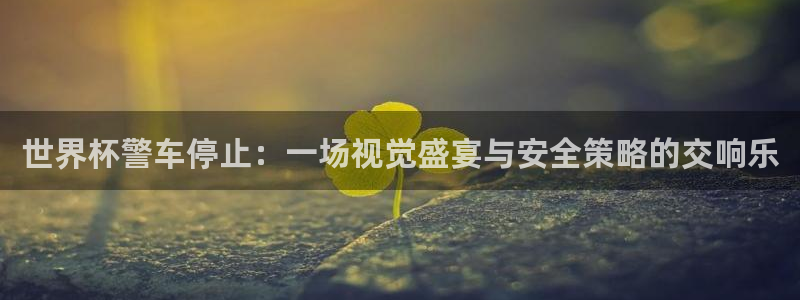 世界杯亚洲区预选赛赛程：世界杯警车停止：一场视觉盛宴与安全策略的交响乐