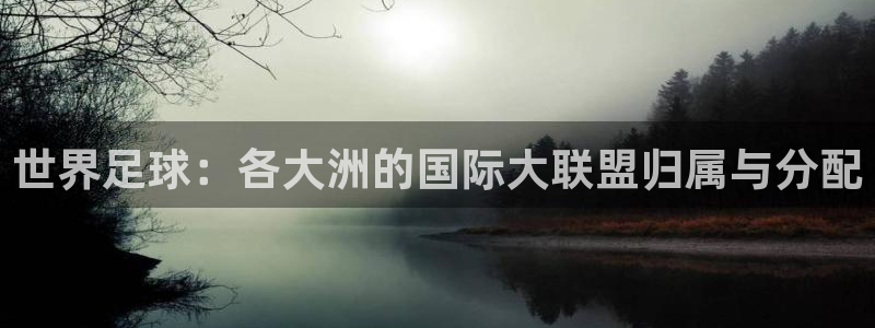 世界杯 2026：世界足球：各大洲的国际大联盟归属与分配