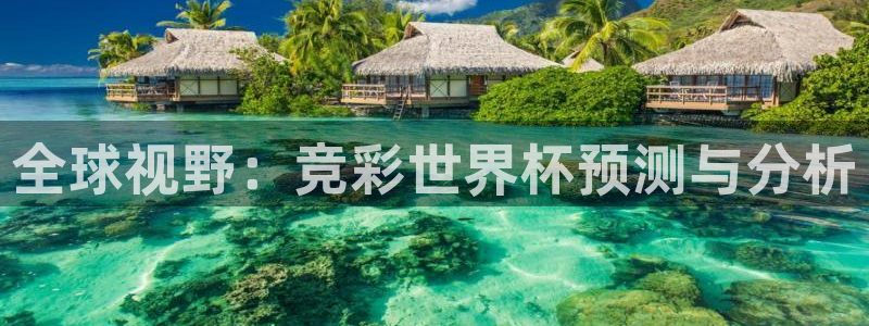 世界杯比赛赛程：全球视野：竞彩世界杯预测与分析